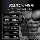 hsl-store:10000005のサンプル画像3