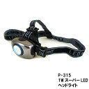 【送料無料!】【アイガーツール】 1WスーパーLEDヘッドライト 全長580mm 30ルーメン コンパクトタイプのヘッドライト! SP-315:hst:04【北海道・沖縄県お届け不可】(一部地域配送を除く)