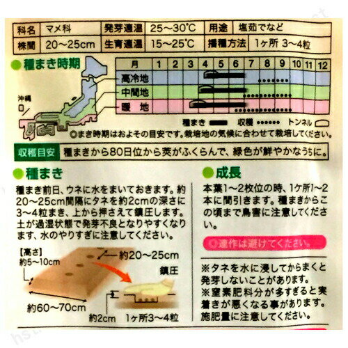 【メール便対応】種子茶枝豆(ちゃえだまめ)春まき(春薪・たね・タネ):02P03Dec30:02P03Dec41