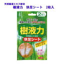 ■メール便ご希望の場合　本商品メール便は【10個】まで1送料です。 　必ず下記バナーをクリックしてしてご確認後ご注文下さい。 上記バナー内容をお読み頂いた後、メール便希望・もしくは 通常の宅配便ご希望の配送方法にチェックをおいれ頂いた後、 [買物カゴへ入れる]　よりご注文へお進み下さい。 配送方法のどちらかにチェックをおいれ下さい。 ■通常宅配便の場合　通常規定送料です。詳しくはこちらをクリック ※他の商品同梱・メール便梱包を超える場合・代引き決済をご希望の場合はこちらとなります ●本商品は通常在庫販売商品です。ご注文後(銀行振込決済の場合は、 　　ご入金確認後）1日ー7日程で発送可能です。(長期休暇時を除く） ●ご注文等が重なるなどして店舗在庫切れ、もしくはメーカー在庫切れ 　の場合は上記日数より日にちが掛かる場合が御座います。その際は、 　別途ご連絡させて頂きます。 ●本商品は他の商品と同梱可能商品です。　下記のバナーをクリックで同梱の注意事項が御覧頂けます。※他の商品同梱の場合通常宅配便のみとなります。 ジャンル：樹液シート・足の疲れ・だるさ・足裏・貼るだけシート・リフレッシュ「樹液力」 天然樹液エキスを配合したシート。2002 年の発売以来、国内外で利用されている。 足裏に貼って寝ることで一日頑張った足をリフレッシュ。手軽に試せる2枚入1回分。 【製品仕様】 「樹液力 快足シート(2枚入)」 主成分／トルマリン、ヨモギエキス、澱粉、真 珠岩、木酢、竹酢、ユーカリエキス、高純度 シリカ、ゲルマニウム 表示者/株式会社　小久保工業所 MADE IN JAPAN