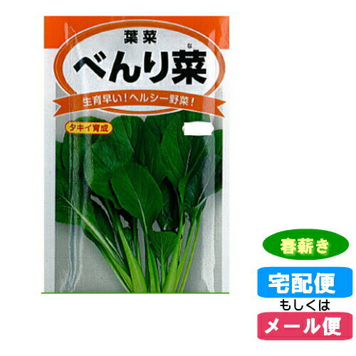 ڥ᡼бۼ ٤(٤ʡպ) դޤ(տš͡):02P03Dec30:hst:04