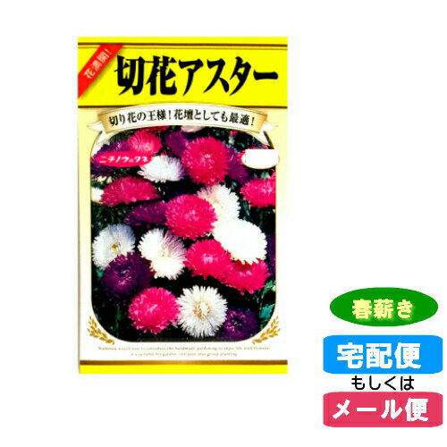 【メール便対応】種子 切花アスター 春まき(春薪・たね・タネ):02P03Dec30:hst:04