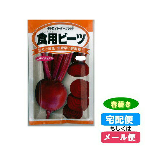 【メール便対応】種子 食用ビーツ 春まき(秋蒔・たね・タネ)::hst:04のサムネイル