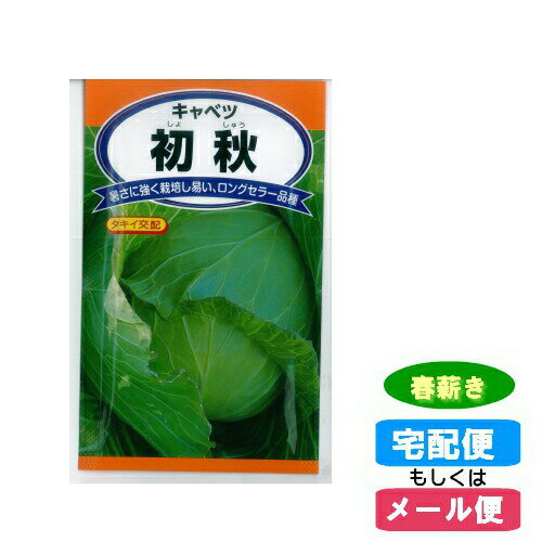 【メール便対応】種子 キャベツ　初秋 春まき(春薪・たね・タネ):02P03Dec30:hst:04