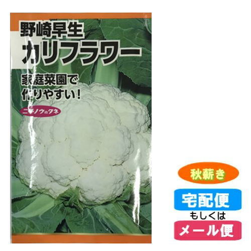 カリフラワー　種子 秋まき(春薪・たね・タネ)(メール便対応)種子 :hst:04
