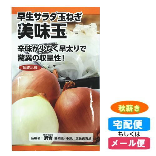 美味玉(玉ねぎ)　早生サラダ玉ねぎ　種子　秋まき(秋薪・たね・タネ)(メール便対応)種子 :hst:04のサムネイル