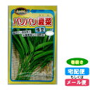 【メール便対応】種子パリパリ夏菜(なつな・悟空)春まき(春薪...