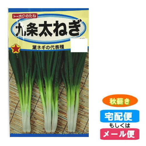 九条太ねぎ(ネギ)　種子　秋まき(秋薪・たね・タネ)(メール便対応)種子 :hst:04のサムネイル