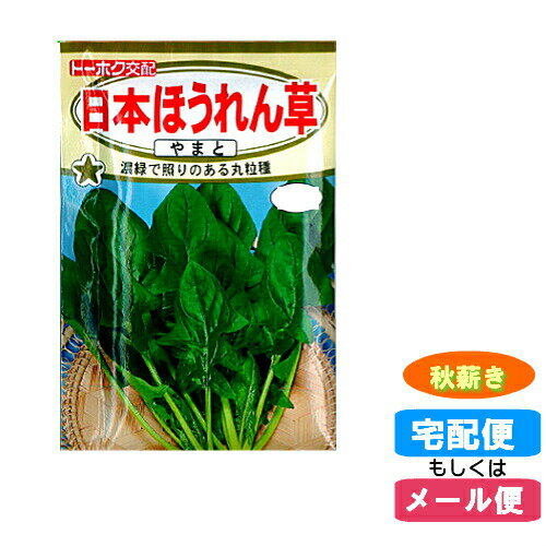 【メール便対応】種子 日本ほうれんそう　やまと 秋まき(秋蒔・たね・タネ)::hst:04のサムネイル