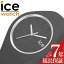 YOUTUBE で話題 アイス ウォッチ 腕時計 ICE WATCH 時計 アイス エニー ICE ANY レディース 腕時計 グレー ICE-021149 人気 おすすめ おしゃれ ブランド プレゼント ギフト 母の日 新生活 新社会人