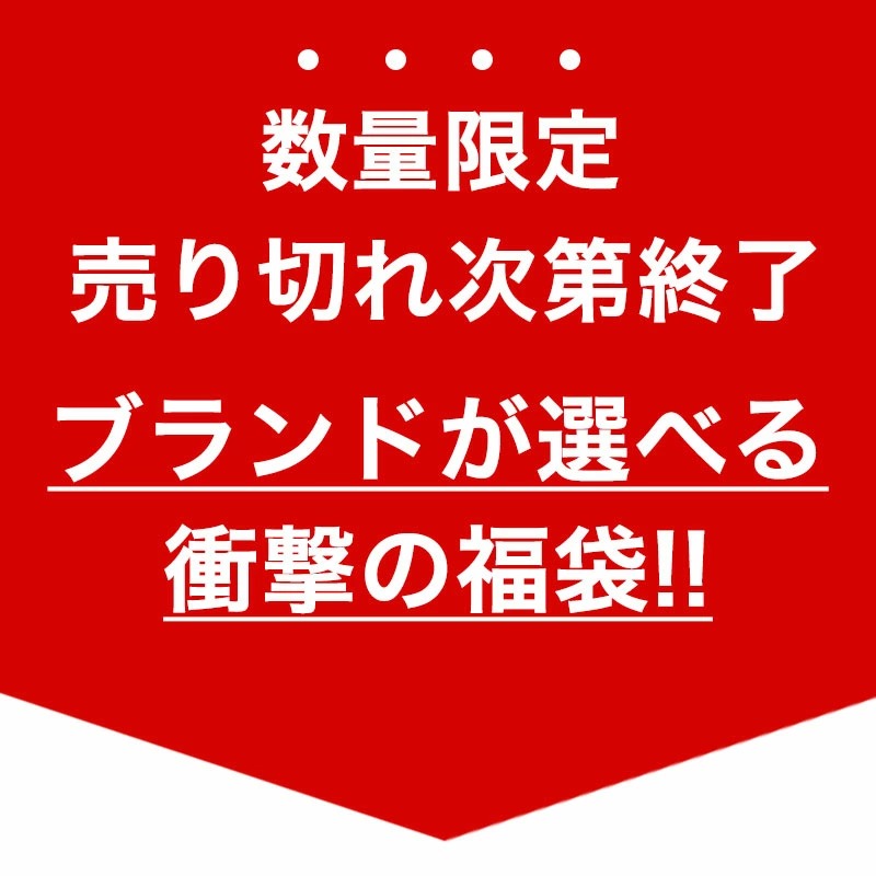 【おひとり様1点限り!!数量限定】【アディダス+ブランド時計1本入り】ハッピーバッグ 福袋 腕時計 時計 メンズ レディース 男性 女性 人気 お得 ブランド アディダスオリジナルス adidas アディダス 時計 腕時計 2021 FKB 新社会人 バレンタイン