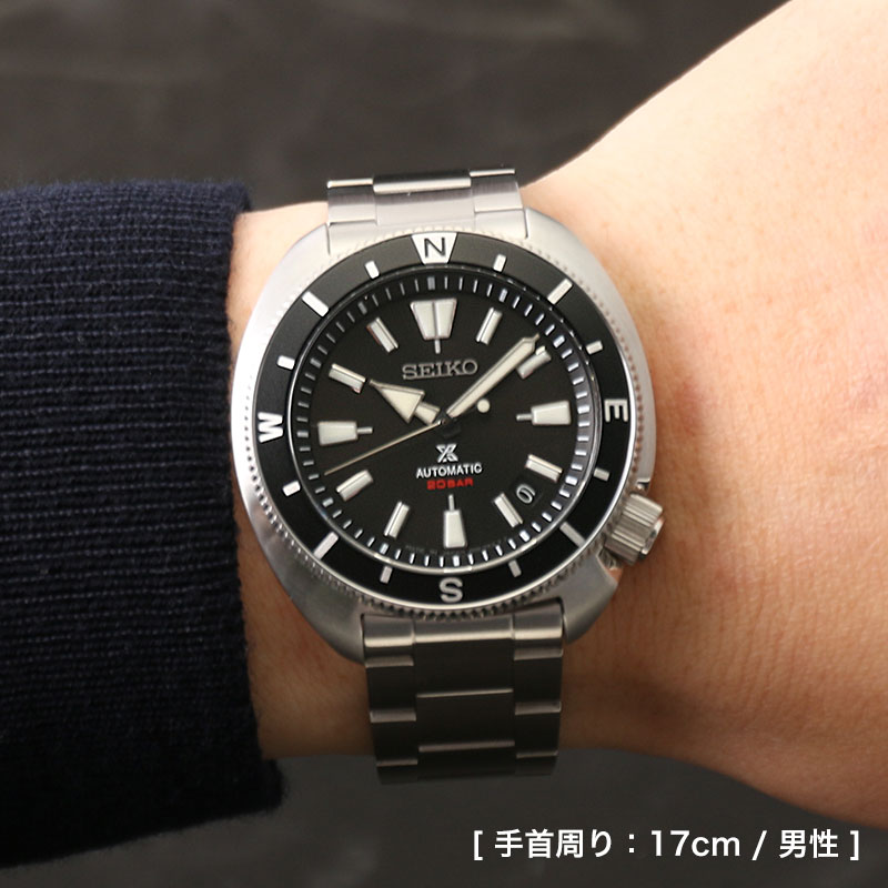 turtle_wearing.jpg?_ex=500x500