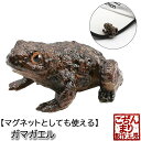 こぢんまり製作工房 ガマガエル マーカー（台座つき）MK0300 食品サンプル マグネット かわいい ゴルフマーカー おもしろ ボールマーカー ギフト コンペ 賞品HTCゴルフ ホクシン交易【メール便送料無料】