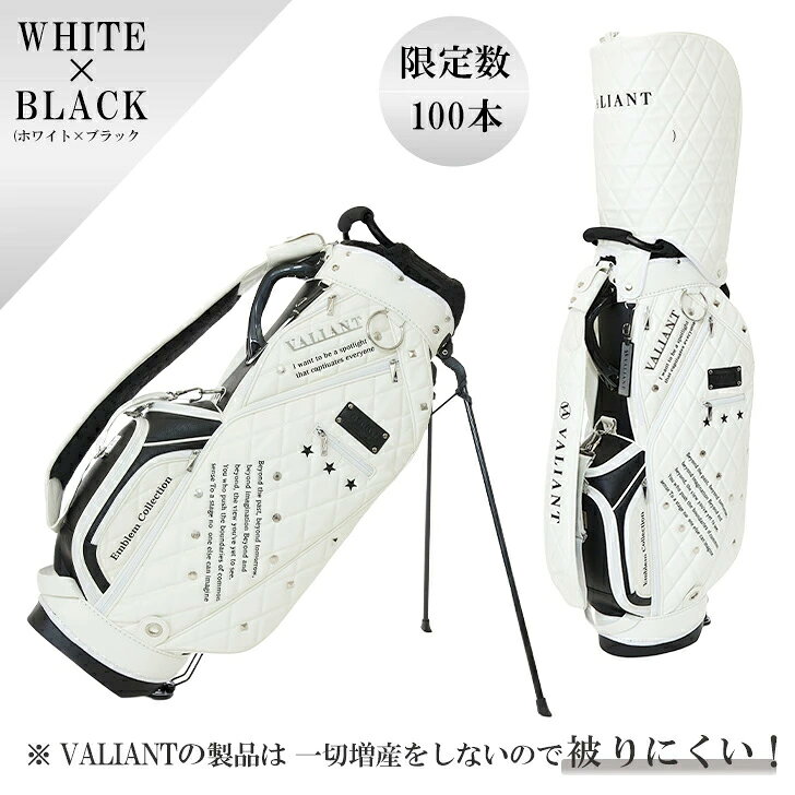 vae-004st-10.jpg