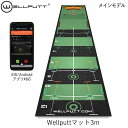 【日本正規品】Wellputt/ウェルパット