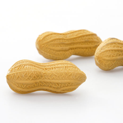 BRUNNEN �֥�ͥ� ���졼���� �ԡ��ʥå� �ä����� �ä����� ���⤷���� ���� �Ҥɤ� ������ ʸ˼�� ���ե� �ץ쥼��� �ץ����ե� ���ؼ� ´�ȼ� ���༰ ´�༰ �࿦ ���� �Ҷ� ʸ˼��