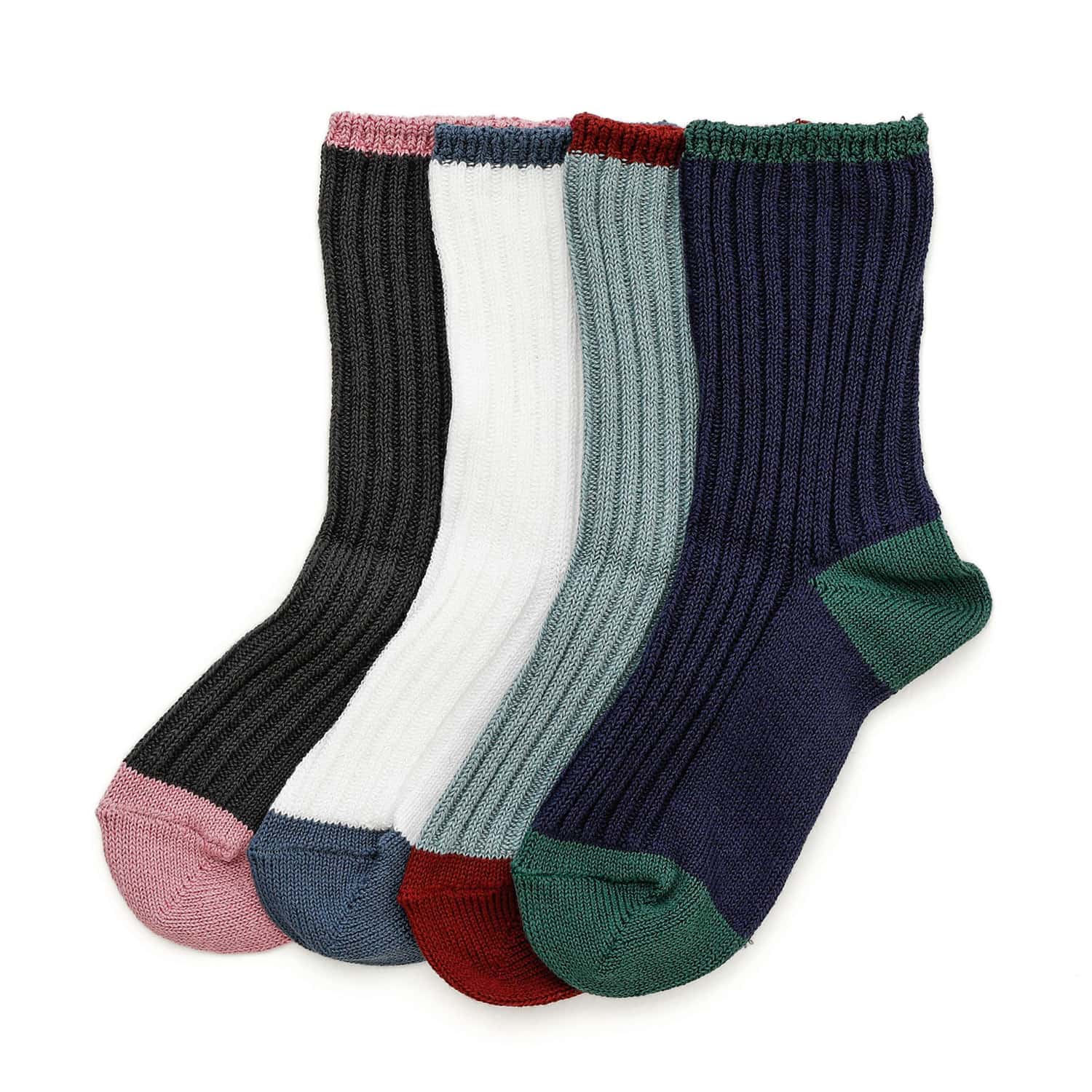 OBSCURE SOCKS W CORDYLINE IuXLA\bNX R[fBC ifB[Xj C \bNX fB[X 23-25cm t  u\bNX {  v[g Mtg