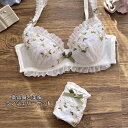 送料無料 楽ちん 柔らかい 美胸 花柄 刺繍 綺麗 ブラショーツ セットアップ 2点セット盛れるブラ おしゃれ オシャレ 女性 ランジェリーセット 可愛い プレ...
