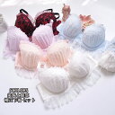 送料無料 大人気 補正下着 セット 刺繍 オシャレ 盛れるブラ おしゃれ 可愛い ランジェリー オシャレ レディースブラ ブラセット エレガント 綺麗 楽ちん ...