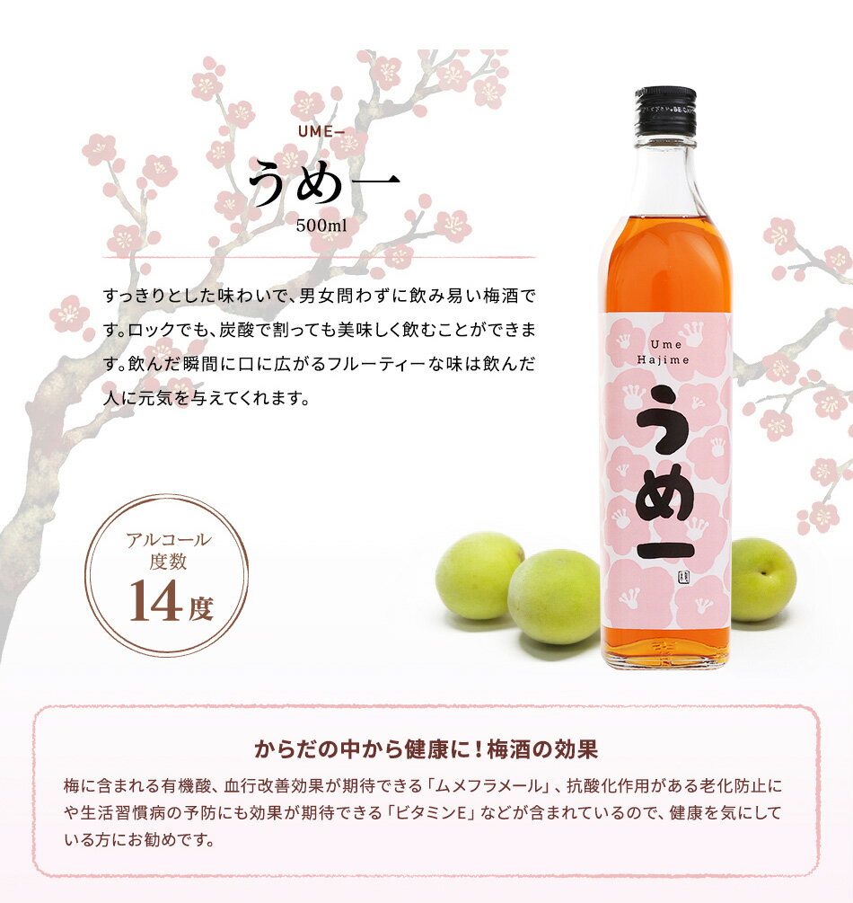 ＜感謝を伝えよう＞ 花 お酒 梅酒 ソープフラワー ギフト プレゼント 感謝 誕生日 プチギフト お酒 送料無料 お洒落 かわいい ボトル シャボンフラワー ブーケ 花束 オリジナルソープフラワーブーケ 自宅用 プチギフト 贈り物 お礼ギフト 女性 人気 母の日 お得