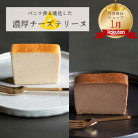 【早割ポイント5倍】母の日限定 チーズテリーヌ チーズ＆ショコラ6個セット ギフト...