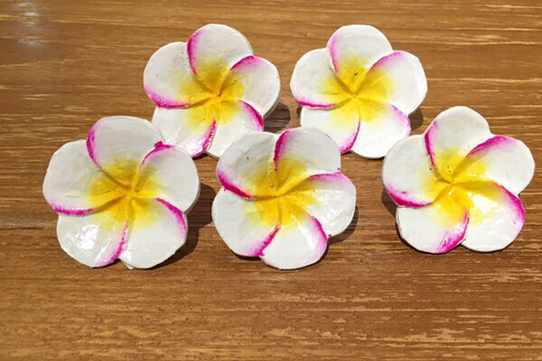 ウッドプルメリアピンクライン5個セ...