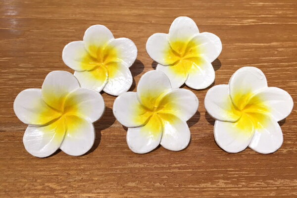 ウッドプルメリアホワイト5個セット...