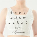 【交換OK】和装ブラ 着物 ブラジャー 和装ブラジャー 和装用ブラ 和装下着 ノンワイヤー 補正 苦しくない 和装インナー 下着 着物ブラ 白無垢 花嫁 和服 胸を小さく見せるブラ 大きいサイズ スリム 着痩せ さらし 結婚式 和婚 夏 夏用 浴衣 浴衣ブラ Hinowa ヒノワ 高機能