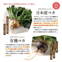【公式】ハグクミの恵み通常購入1袋120粒入り葉酸配合妊活ママ活マカ夫婦で飲めますはぐくみの恵み送料無料はぐくみプラス公式