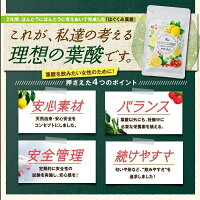 【公式】はぐくみ葉酸通常購入1袋90粒入り葉酸妊婦妊娠鉄分配合はぐくみプラス公式