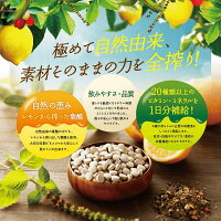 【公式】はぐくみ葉酸通常購入1袋90粒入り葉酸妊婦妊娠鉄分配合はぐくみプラス公式