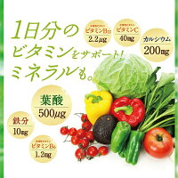 【公式】はぐくみ葉酸通常購入1袋90粒入り葉酸妊婦妊娠鉄分配合はぐくみプラス公式