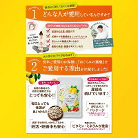 【公式】はぐくみ葉酸通常購入1袋90粒入り葉酸妊婦妊娠鉄分配合はぐくみプラス公式
