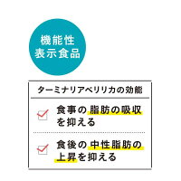 【公式】パパフレ毎月お得な定期購入1袋120粒機能性表示食品ダイエット中性脂肪脂肪を抑制ぱぱふれ送料無料はぐくみプラス公式はぐくみぷらす