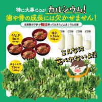 【公式】せのびのたね通常購入1袋120粒入り身長サプリカルシウム不足子ども成長栄養送料無料はぐくみプラス公式