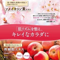 【公式】モナマミー通常購入200g妊娠線予防クリーム肉割れ線妊婦自然派素材保湿送料無料はぐくみプラス公式