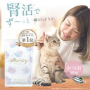 【エントリーでポイント10倍】powney - パウニー - 猫用 サプリメント 送料無料 【公式】 猫 サプリ 尿路 腎不全 尿路結石 予防 フード 膀胱炎 ...