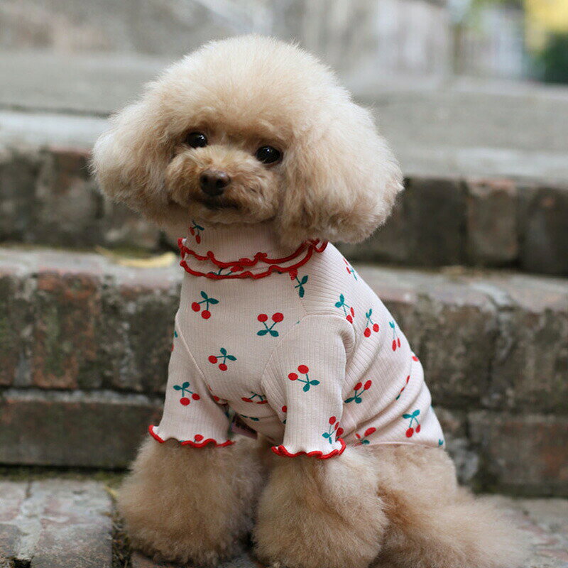 犬服ベスト長袖tシャツタンクトップインナー犬服tシャツ果実柄伸縮つなぎ部屋着パ...