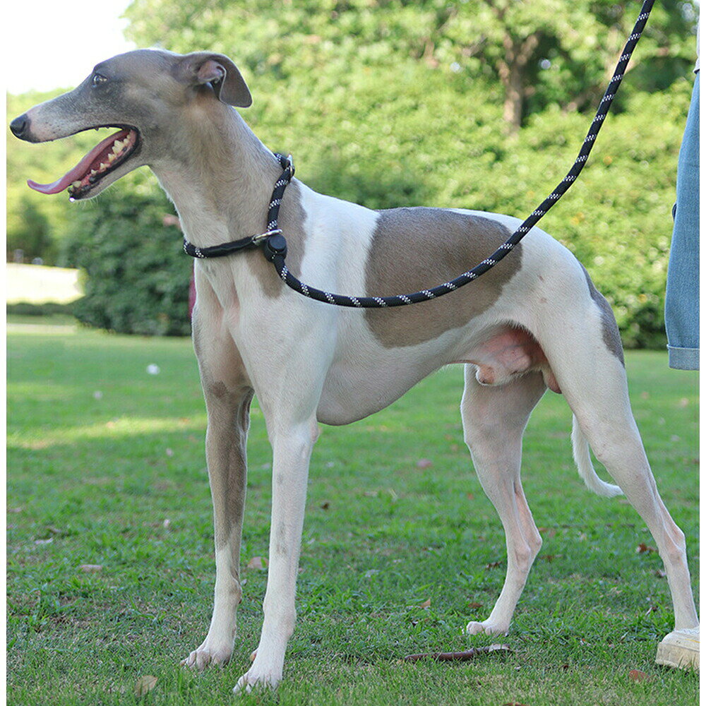 犬リード小型犬中型犬大型犬首輪一体型リードペット用リードドッグリード犬紐ハー...