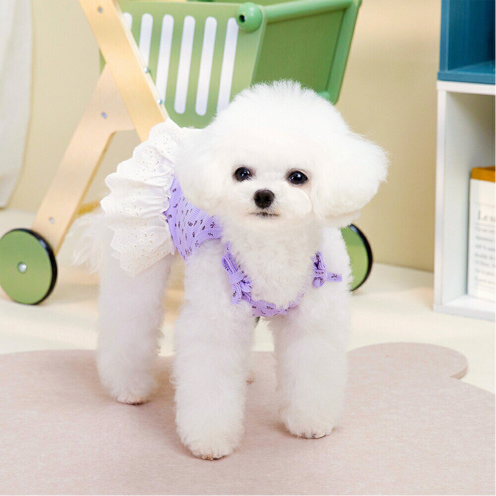 犬服ワンピースハーネスリードハーネス一体型フリルスカート犬服春夏春用夏用スカ...