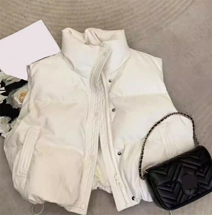 中綿 ベスト レディース ファイバー ダウンベスト ショート丈 アウター 体型カバー ジャケット 無地 おしゃれ トップス ゆったり 大人気 シンプル カジュアル 冬服 防寒 暖かい 羽織り 送料無料 hugselect-10016538 Hug Select サンプル画像2