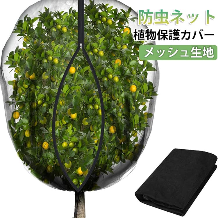 商品画像3