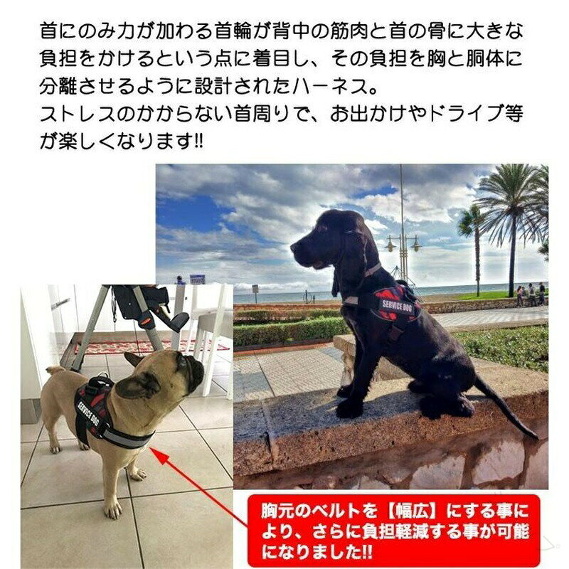 犬 ハーネス 胴輪 単品 イニシャル 簡単装着 引っ張り防止 抜けない 小型犬 中型犬...