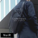 Luminous V_[obO 15L  fB[X Y rWlXobO ΂߂ y Vv ubN ʋ ʊw e NoiR