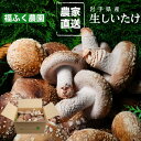 福ふく農園 福ふく農園 しいたけ