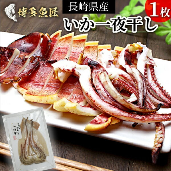送料無料商品とのご購入で送料無料! いか一夜干し 長崎県産 いか開き干し 1枚 イカ 烏賊 いか 干物 スルメイカ するめ スルメ おかず つまみ おつまみ お買い得 お手頃 家庭用 お取り寄せ 冷凍 ビール お取り寄せグルメ 送料別 海鮮 グルメ