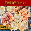 厳選 海鮮BBQセット 【 有頭ブラックタイガー 10尾 】【 ホタテ片貝 10枚 】【 スルメいか一夜干し 1枚 】 冷凍 エビ ホタテ イカ BBQ ブラッ...