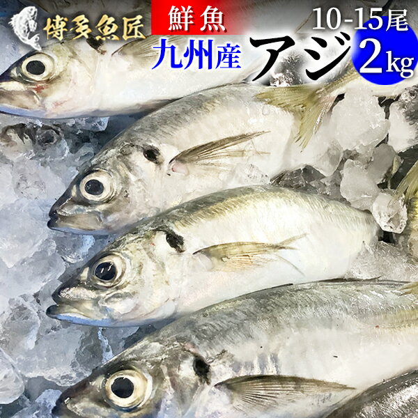 九州産 天然真アジ 2kg 1匹あたり 200g〜300g前後 市場直送 鮮魚 鯵 刺身 アジフライ 海産物 海鮮 お取り寄せ おつまみ