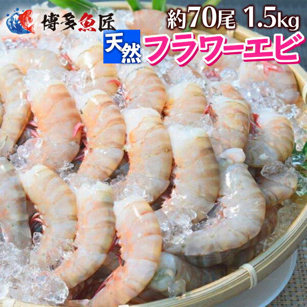 天然海老 フラワーエビ 無頭 1.8kg 約70尾前後入 えび 海産物 海鮮 お取り寄せグルメ 業務用 父の日ギフト 父の日 プレゼント 実用的 70代 80代 実用 子ども 孫 おつまみ 海鮮