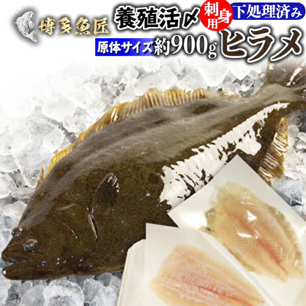 ヒラメ 刺身 フィレ 約300～400g 原体900g前後 冷蔵九州 鮮魚 活〆 贈答用 海産物 海鮮 おつまみ お取り寄せグルメ 九州 土産 父の日ギフト 父の日 プレゼント 実用的 70代 80代 実用 子ども 孫 おつまみ 海鮮 お中元